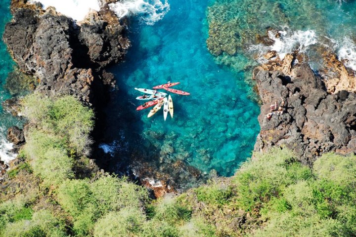 Ocean Safari Kayak Tour